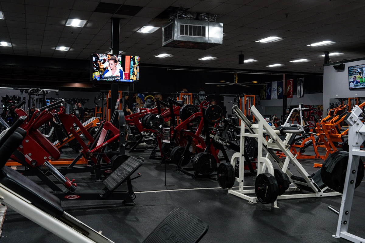 Plate-loaded machines including Panatta equipment at House of Gainz