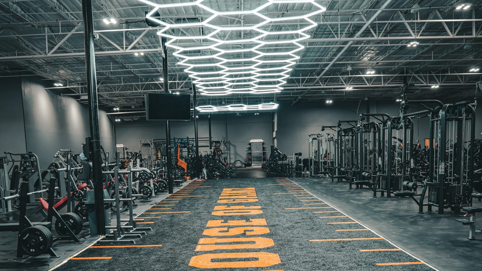 House of Gainz-branded turf inside Hub (Austin)